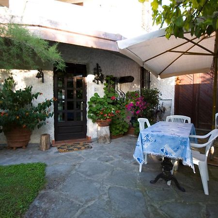 Case Vacanza La Ventura Massarosa Exterior foto