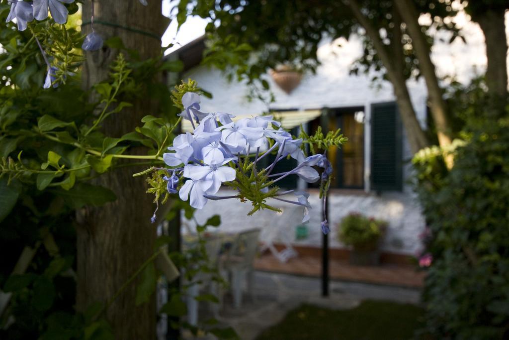 Case Vacanza La Ventura Massarosa Exterior foto